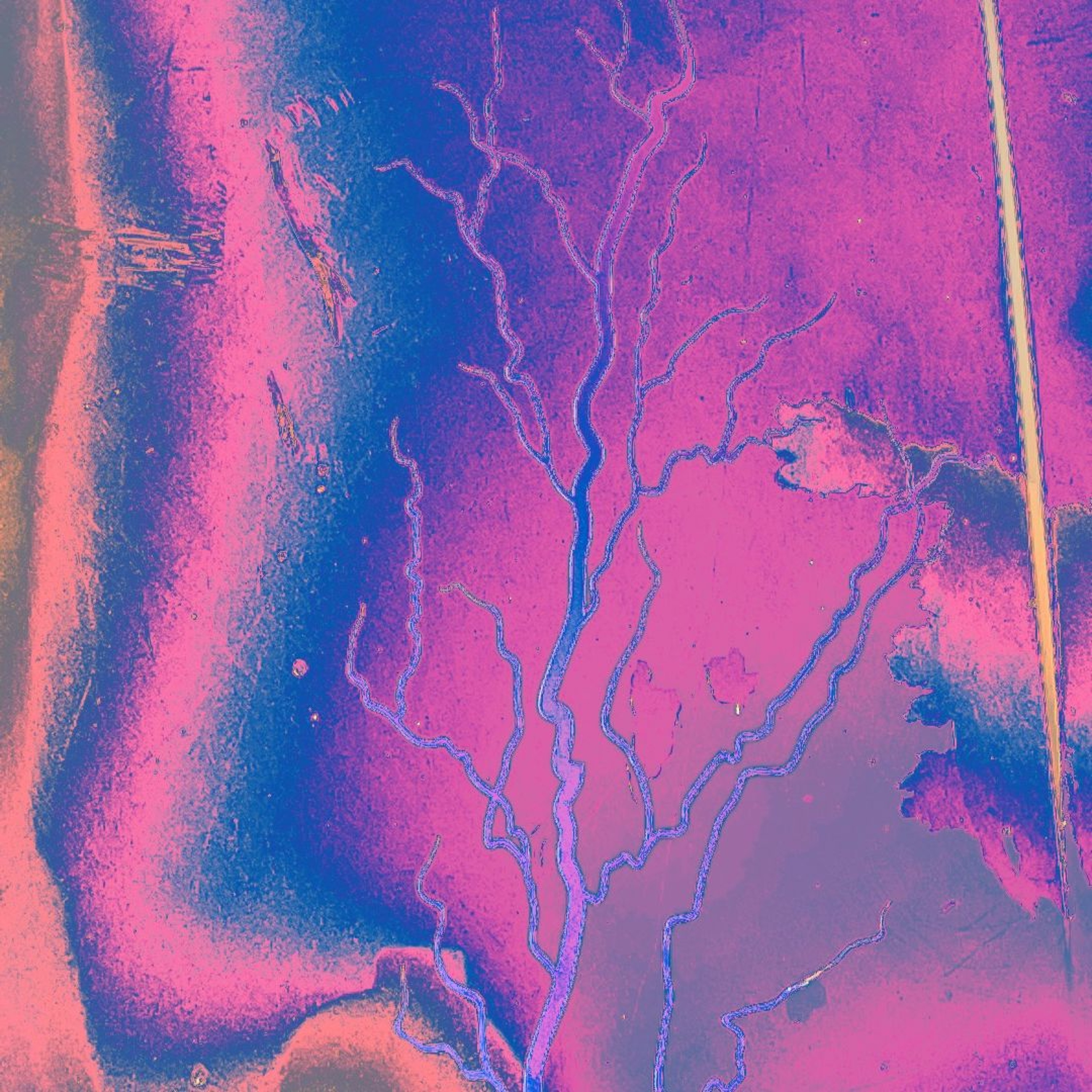ume episode artwork
