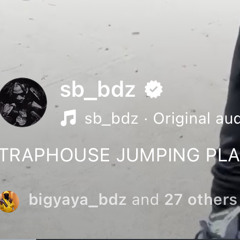 Traphouse Jumping / Place Your Order (LoopedLeak) - Shawny Binladen