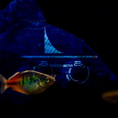 XIX - Incognito_submerge_w. Bomchello