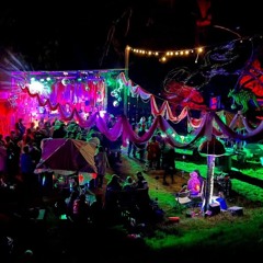 Psychedelic Bush Disco V4 - Sat Sunset