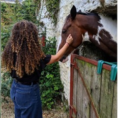 Die, die, die - Dr. Dog cover