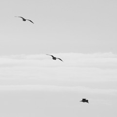 Who I Am Pt. 3 (Prod. by UrBan Nerd Beats)