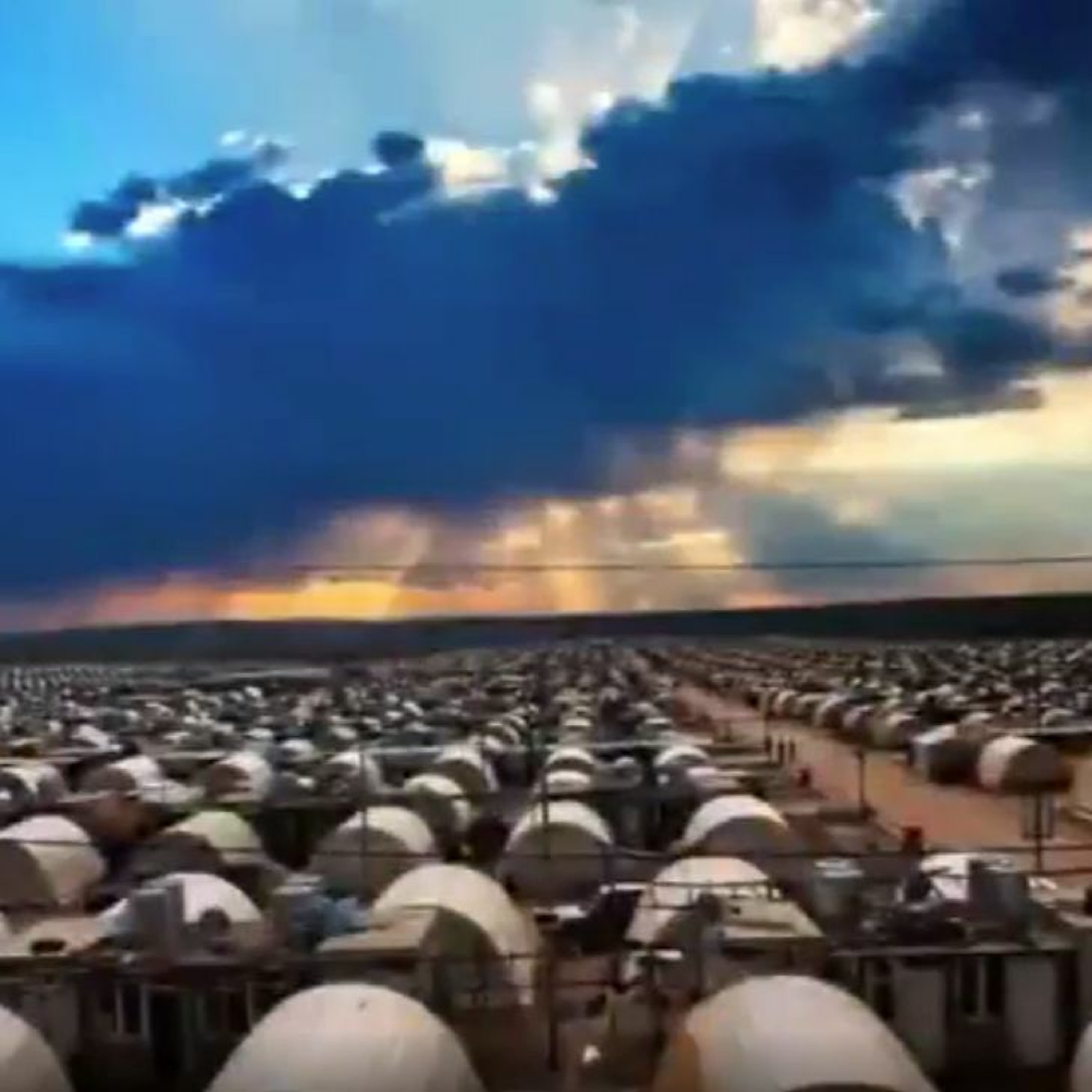 Claire Edwards: The COVID-19 Genocide of 2020