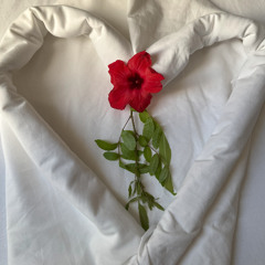 Ich liebe ein anderes Mädchen