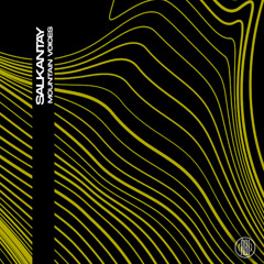 Salkantay - Nonstop (Original Mix)