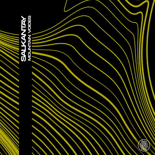 Salkantay - Nonstop (Original Mix)
