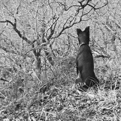 I Didn't Want To Care Anymore