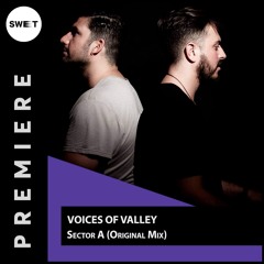 PREMIERE : Voices of Valley - Sector A (Original Mix) [Katermukke]