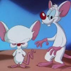 PinkyandTheBrain#jerseyclub