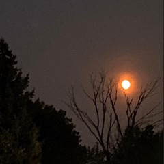 Nadie escucho el ruido que hice al caer?