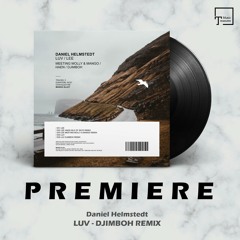 PREMIERE: Daniel Helmstedt - Luv (Djimboh Remix) [MANGO ALLEY]