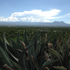 Mount Caucasus