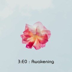 3E0 - Reactivate