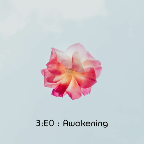 3E0 - Reactivate