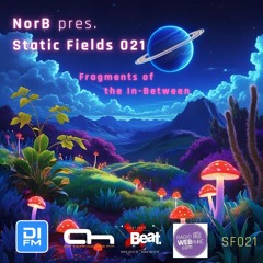 NorB · Static Fields