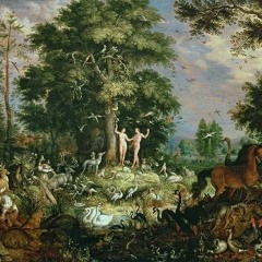 Mosquitoes In Eden (Prod. Gfbeats)