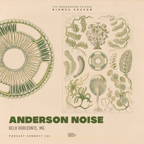 Anderson Noise @ Podcast Connect #222 - Belo Horizonte, MG