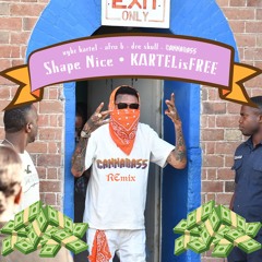 shape nice remix