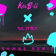Sal Jy Bly (Shwne Remix)