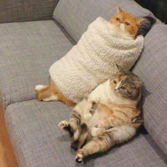 Comfy Couch Mix