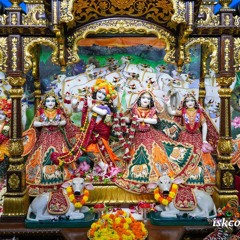 Pandav Nirjala Ekadashi’s Divine Kirtan