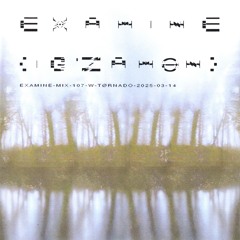 examine-mix-107-w-tØrnado-2025-03-14