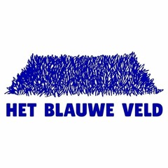 Het Blauwe Veld x Rizoom #11: Judith Reijnders