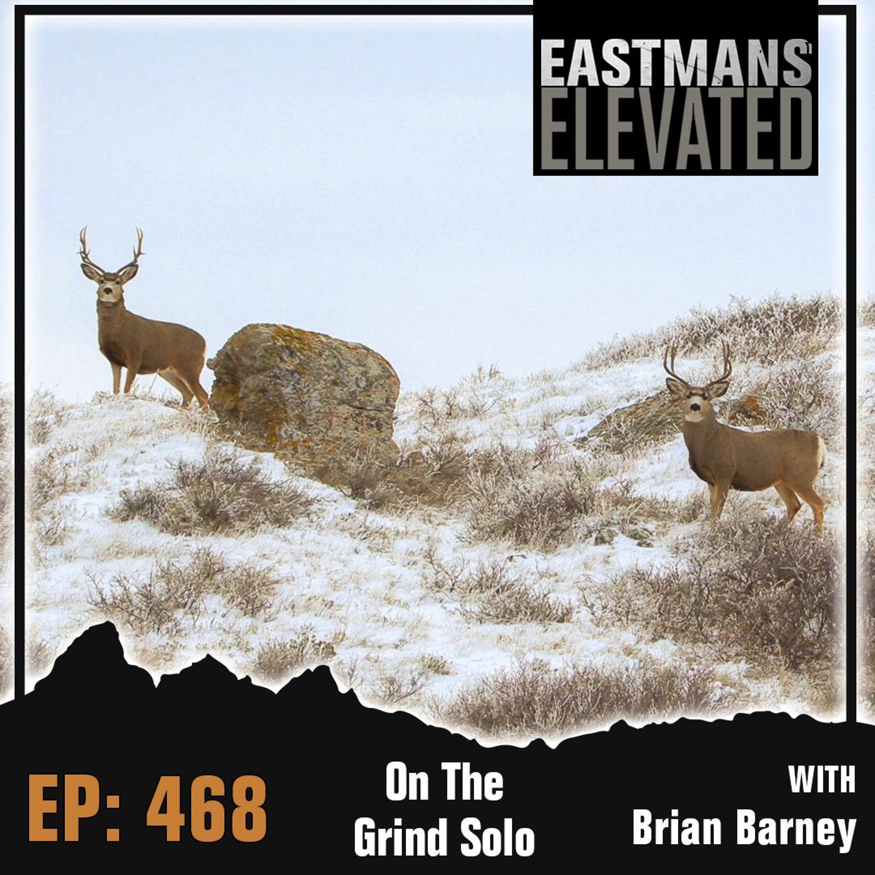 Eastmans\' Elevated