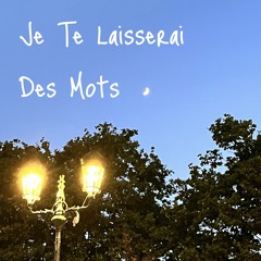 Je Te Laisserai Des Mots - Patrick Watson (Fedo Cover)