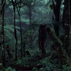 Into The Woods Festival 2023