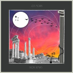 Premiere : Joe Morris - Echo Station (Coyote Dread Mix)