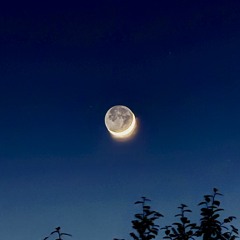 Nocturne à la Lune