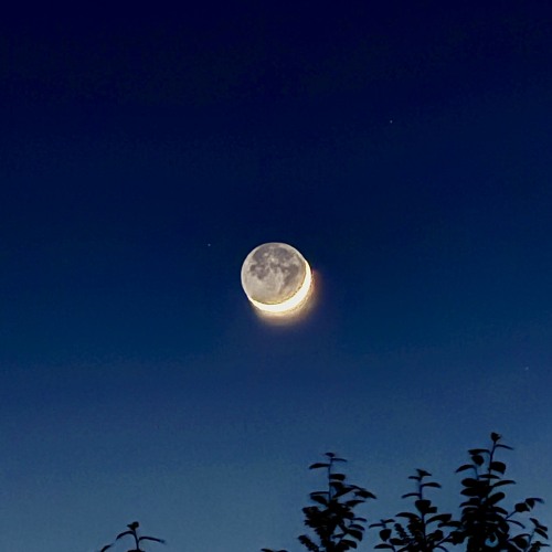 Nocturne à la Lune