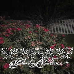 Letters I wish I gave to you -demo