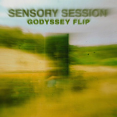 Sensory Session (Godyssey flip)
