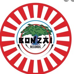 Volpl3x BONZAI Mix VINYL