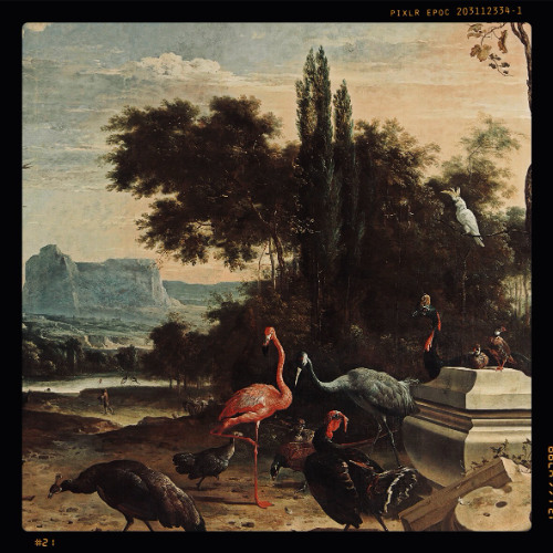 Sunday Moods 2. - Beauty in a Moment of Chaos