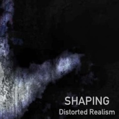 Distorted Realism