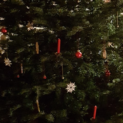 The Soul Shines at Christmas