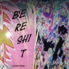 PREMIERE: Richard Brook - Die Wilde 13 [04177 Records]