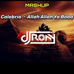 Calabria X Allah Allah Ya Baba Mashup - DJ RONY