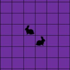 run rabbits run - rough