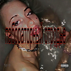 Lab_Brat <лабораторный отродье> (prod.ruang)