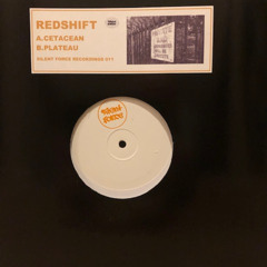 Label Series: 11 SILENT FORCE