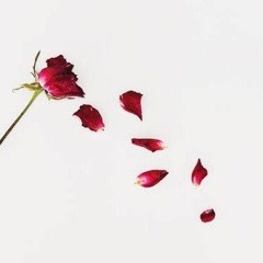Not Meant To Be(Demo Tape)