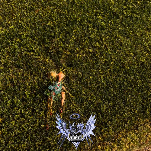 4dranks (Ft. lilgloboi)  (Prod. Gfelds)