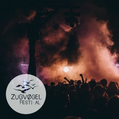 Julian Schraven live at Zugvøgel Festival 2023