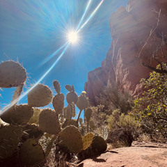 Thrxsh - Soul (prod. nofriends)