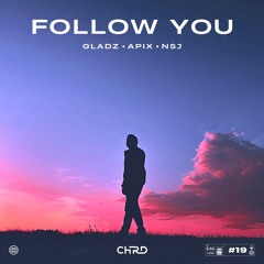 Gladz & Apix Vs NSJ - Follow You