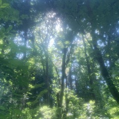 영원은 그렇듯